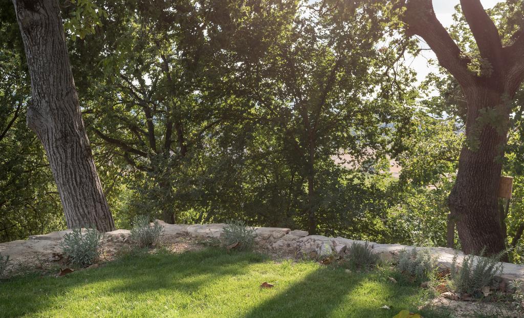 אסיסי B&B Cantico Delle Creature מראה חיצוני תמונה